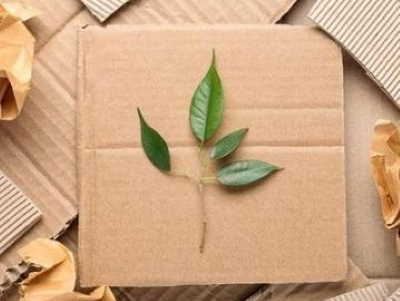 Scattered cardboard pieces and brown kraft paper with a green leaf on top